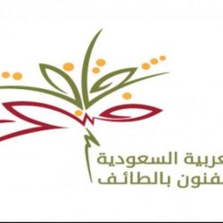 إنشاء الأكاديمية السعودية للترفيه لتدريب وتأهيل الكوادر الوطنية