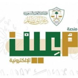 ضبط أكثر من 10 آلاف سيارة نقل مخالفة بشوارع جدة