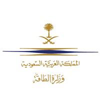 كشافة المملكة تُشارك في ورشة عمل عربية افتراضية عن الأمن والسلامة على الانترنت 
