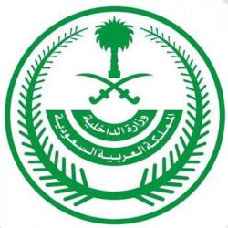 الفيصل يعتمد التشكيل الجديد لعدد من مجالس إدارات الاتحادات واللجان والروابط الرياضية السعودية للدورة الانتخابية 2021-2024م.