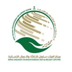 الإمارات تستنكر تصريحات وزير خارجية لبنان ضد السعودية ودول مجلس التعاون