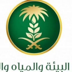 جامعة الملك عبدالعزيز تُتوج ببطولة دوري الجامعات السعودية للرياضات الالكترونية