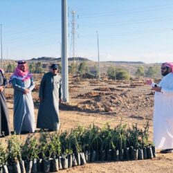 القوات الخاصة للأمن البيئي: تضبط مخالفين لنظام البيئة لنقلهم حطب محلي في الرياض وتبوك