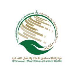 وزارة التجارة تتسلم جائزة التميز الحكومي بوصفها أفضل وزارة عربية