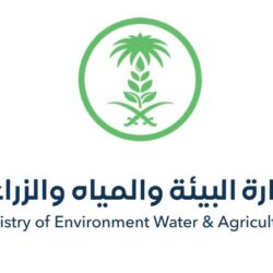 مختبر البيئة بميناء جدة الإسلامي يفحص 300 ألف عينة خلال 2021