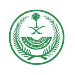 الإمارات: استهداف الحوثيين المملكة بطائرات مسيرة تصعيد خطير وعمل جبان