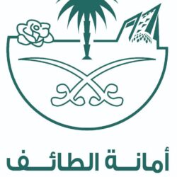 في ختام الجولة الثالثة من الدوري السعودي للبلياردو والسنوكر ضمك يتصدر ترتيب البلياردو والشباب يتصدر ترتيب السنوكر
