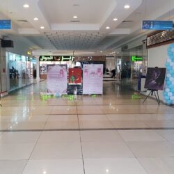 محافظ ظفار يتوج روح السعودية وتطبيق المطار”.. ضمن 5 جوائز للمملكة في أوسكار الإعلام السياحي العربي