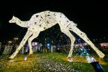 اتحاد الهجن يهدي الطائف أكبر مجسم في العالم يحوي 51 ألف مصباح بطول 10 أمتار