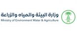 “البيئة” تُبرِم عقدًا لإدارة وحوكمة مهام الوزارة المتعلقة بنظام المياه وفق أفضل الممارسات العالمية