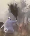 بالفيديو …. مواطن يحاول إخماد حريق جبل عمد بأوراق الشجر
