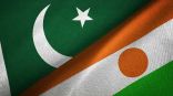 باكستان تدين بشدة الهجمات الإرهابية في النيجر
