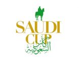16 دولة تعلن مشاركتها في كأس السعودية العالمي 2022