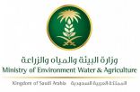 وزارة البيئة والمياه والزراعة تعلن عن توفر 43 وظيفة للجنسين