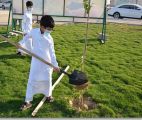 50 ألف شجرة لزيادة الرقعة الخضراء بمحافظة القطيف