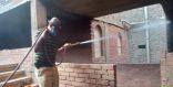 الخفافيش تهاجم قرية جديدة بمصر