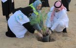 الموارد البشرية بمكة المكرمة تدشن حملة زراعة 10 آلاف شتلة بمناسبة اليوم السعودي والعالمي للتطوع