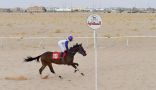 فروسية نجران تقيم سباقها الـ 13 على كأس سمو الأمير جلوي بن عبدالعزيز
