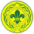 اللجان الكشفية العربية الفرعية تعقد اجتماعاتها بالقاهرة غداً 