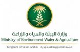وزارة البيئة والمياه والزراعة بعسير تكلف لجنة مختصة بدراسة متطلبات منتزهات مركز الشَّعَف