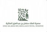 هيئة تطوير محمية الملك سلمان بن عبدالعزيز الملكية تواصل إخراج الحيوانات السائبة داخل منطقة حرة الحرة