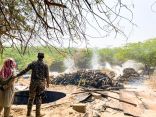 ضبط مخالفين لنظام البيئة يقطعون الأشجار لتحويلها إلى فحم بمنطقة مكة المكرمة