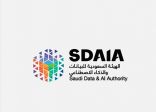 الهيئة السعودية للبيانات تعلن عن 320 فرصة تدريبية مجانية في علوم البيانات