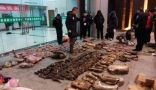 الصين تفرض حظراً شاملاً على تجارة الحيوانات البرية وأكلها