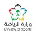 وزارة الرياضة توضح ملابسات وفاة طفل في مباراة الفتح والوحدة