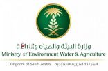 المياه الوطنية تدخل خدمة المياه لـ9 قرى بمحافظة بيش