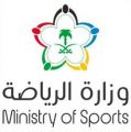 وزارة الرياضة تُقيم ورشة عمل للأندية لشرح كل ما يتعلق باستراتيجية دعم الأندية في عامها الثاني