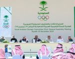 الفيصل يعتمد التشكيل الجديد لعدد من مجالس إدارات الاتحادات واللجان والروابط الرياضية السعودية للدورة الانتخابية 2021-2024م.
