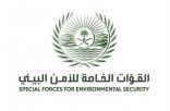 “القوات الخاصة للأمن البيئي” يباشر بلاغا عن وجود ظبي طليق في الرياض