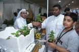 بيئة الأحساء ‬⁩ تختتم “مهرجان منتجات الريف لعام 2022” بمحافظة الاحساء