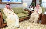أمير منطقة الرياض يستقبل الرئيس التنفيذي للمركز الوطني لتنمية القطاع غير الربحي