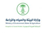ضبط مخالفات صيد بحري في جدة ومصادرة اكثر من 105 كيلوجرام لحمايه الثروة المائية الحية في المملكة