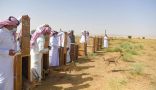 سمو الأمير تركي بن محمد بن فهد يتفقد محمية الملك خالد الملكية ويطلق عددًا من المبادرات البيئية