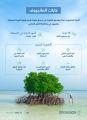 “البيئة”: غابات أشجار المانجروف من أكثر النظم البيئية كفاءة في تخزين الكربو