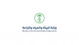 “البيئة” توقع عقدًا لإعداد كود سعودي لمصادر واستخدامات المياه في المملكة