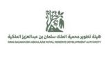 هيئة تطوير محمية الملك سلمان بن عبدالعزيز الملكية” تمهل ملاك الحيوانات السائبة أسبوعين لإخراجها من منطقة الطبيق